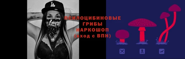 дмт Алексеевка