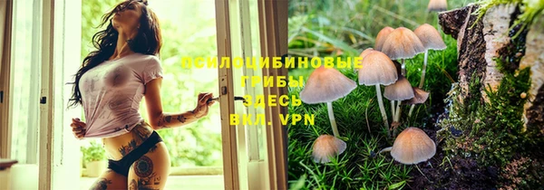 MESCALINE Абинск