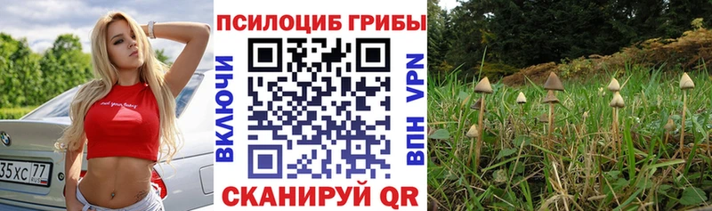 Галлюциногенные грибы MAGIC MUSHROOMS  кракен tor  Балаково 