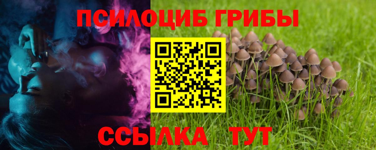 Псилоцибиновые грибы Psilocybine cubensis  Псилоцибиновые грибы мицелий  Вход с VPN  Балаково 