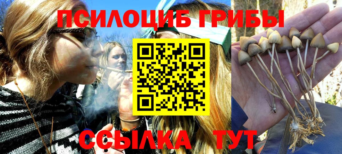 Галлюциногенные грибы мицелий  продажа наркотиков  Балаково  Вход с VPN 