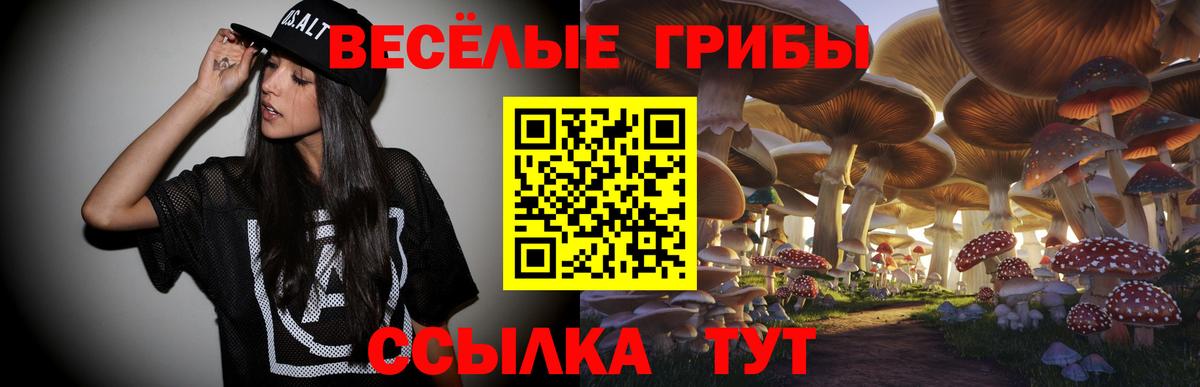 Галлюциногенные грибы Psilocybe Балаково